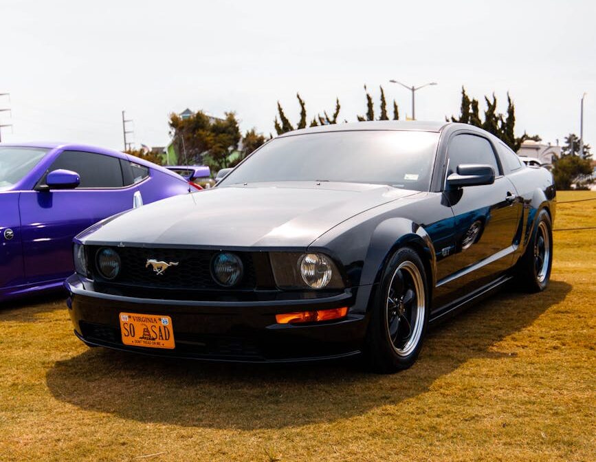 Mustang noir sur l'herbe lors d'un événement ensoleillé en plein air.