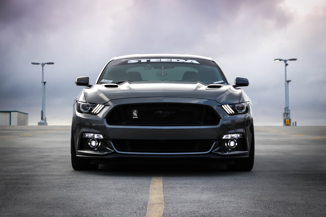 Voiture Shelby noire sur route