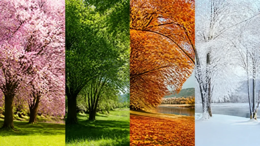 What is the best month to