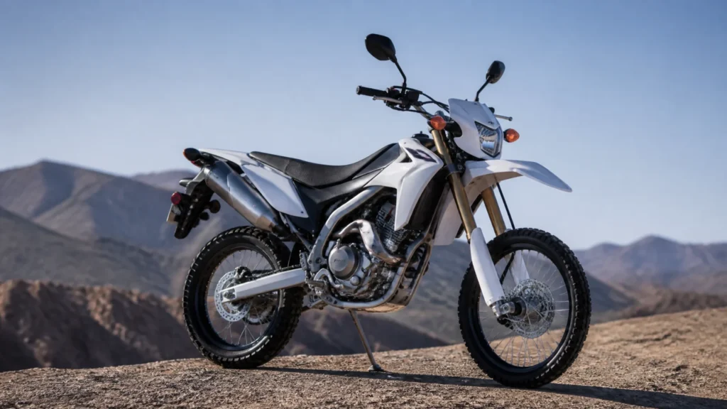 Is a dual-purpose motorcycle road-legal?